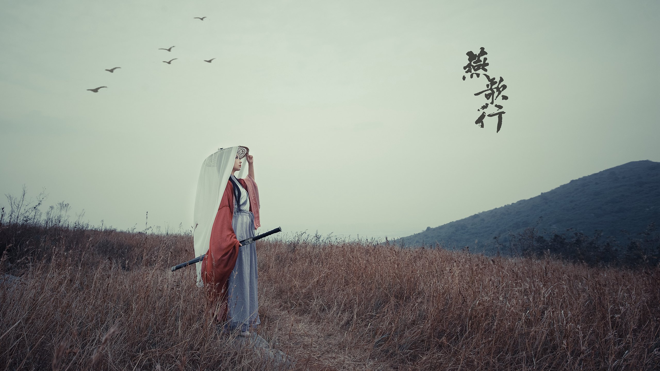 _老将引领奇才，注入球队新生命_，球坛老将