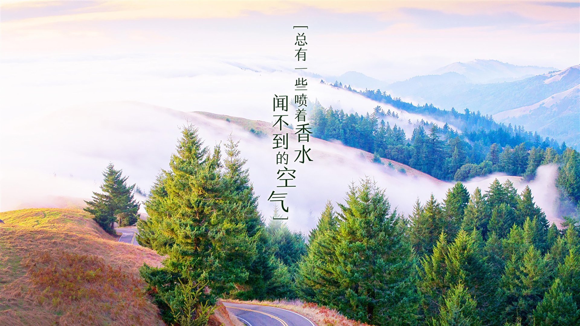 “教练战术：联盟中最厉害的战术大师揭秘”，lol最厉害的教练