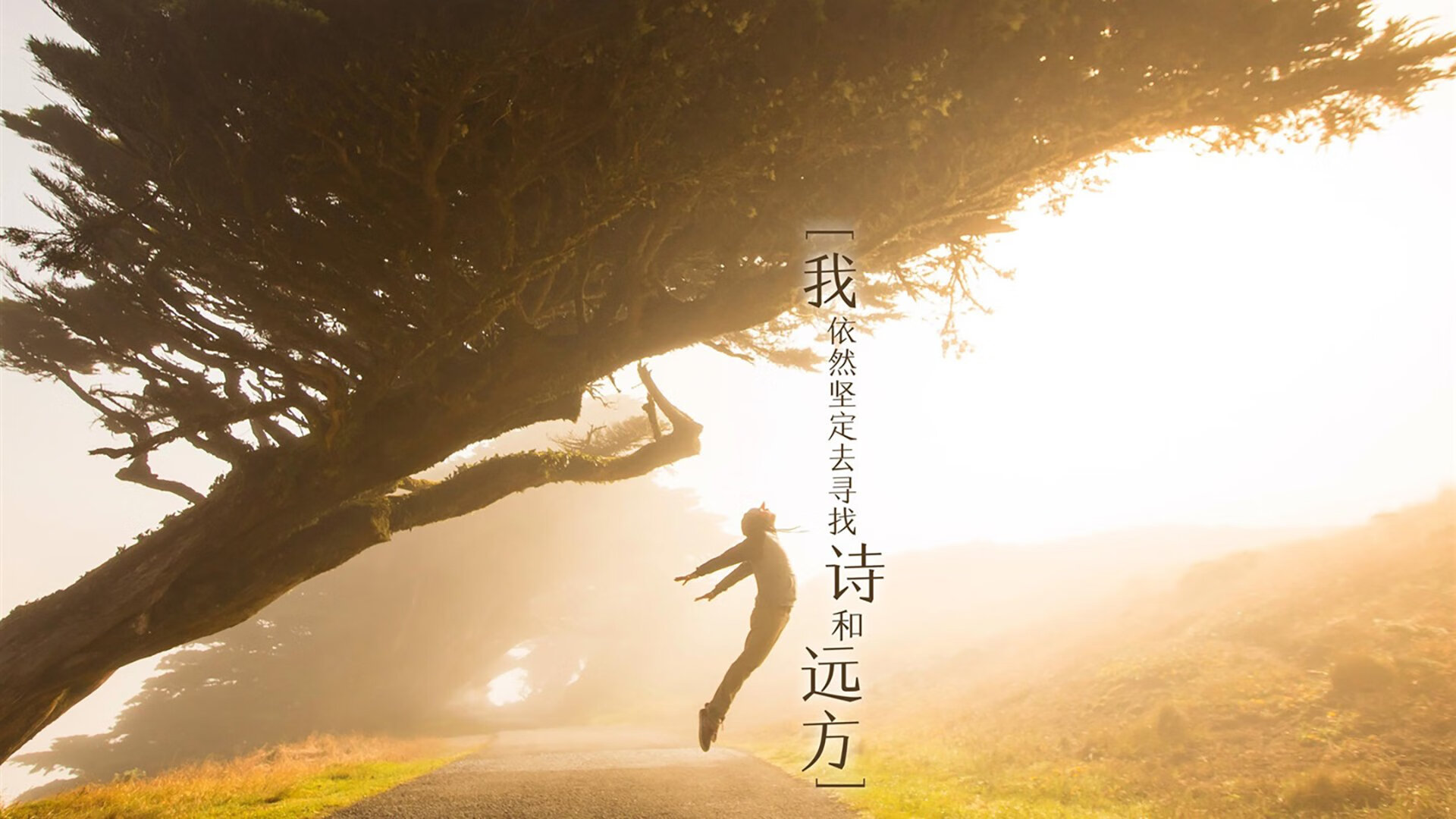 《重大赛事临近：赛事前的幕后准备工作》，重大赛事活动