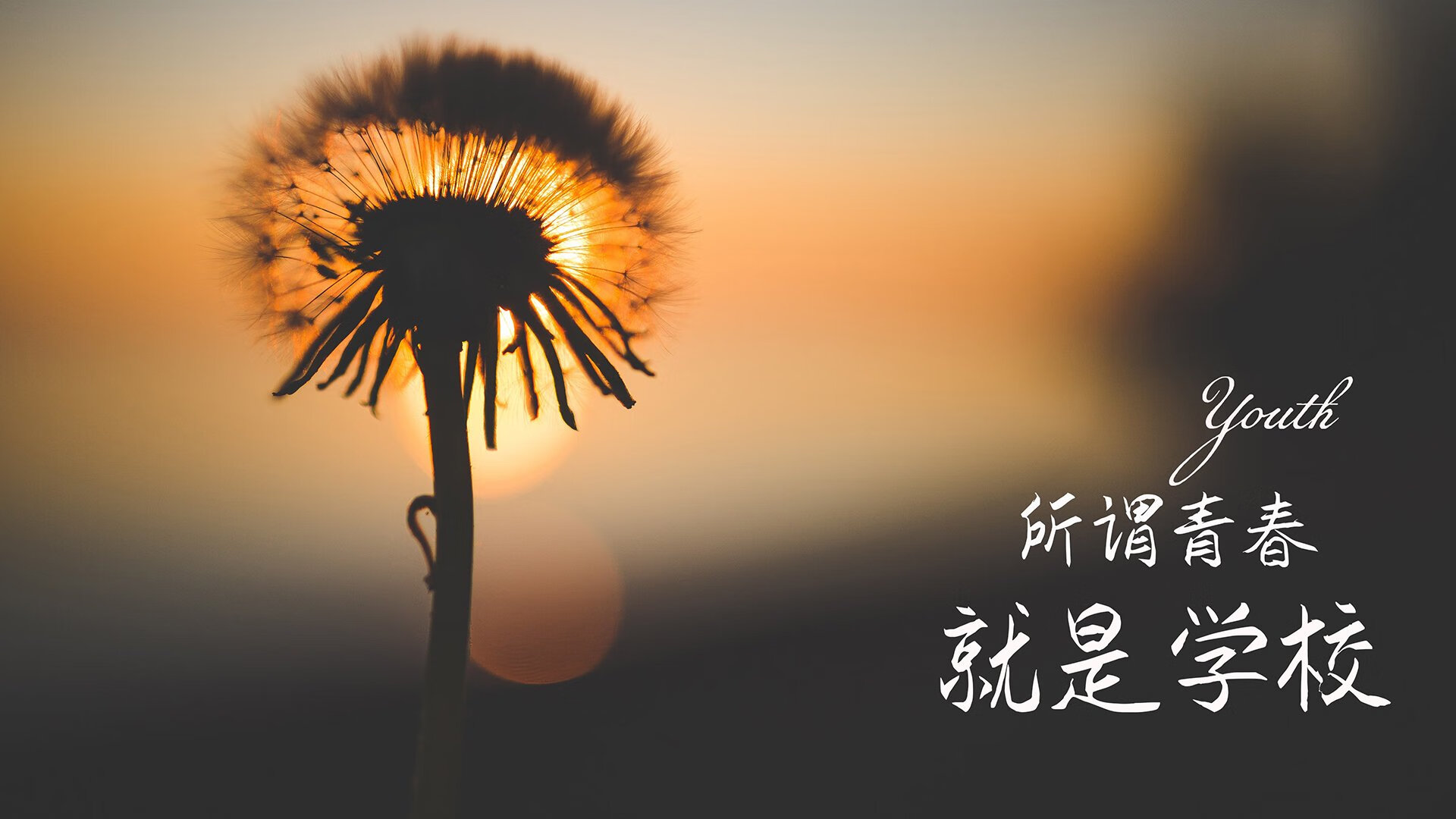 篮球赛事观众互动体验创新升级，篮球比赛观众席视角