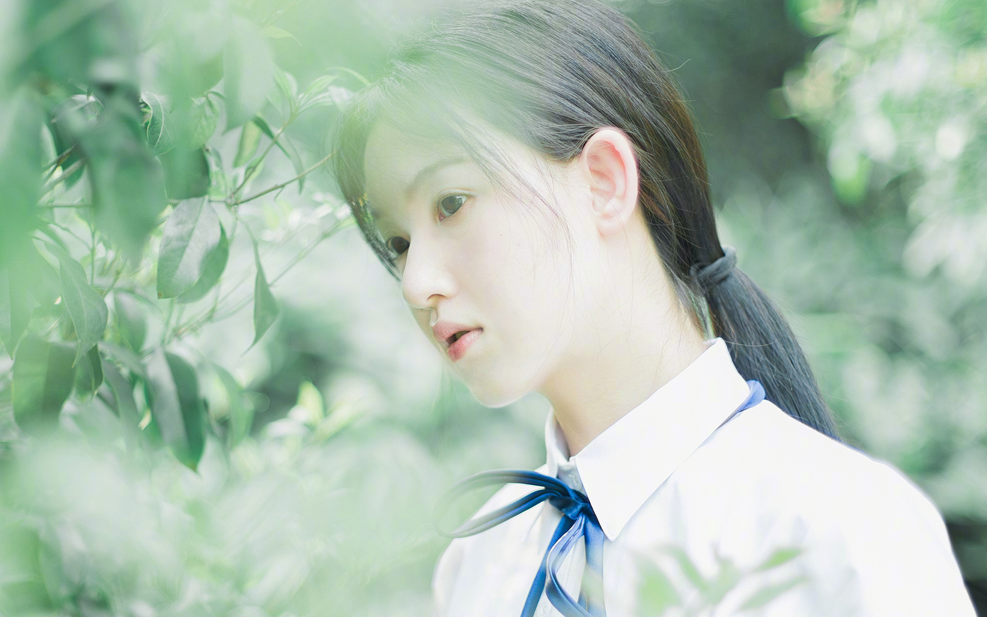 体育界热点：名星球队胜负如何？，明星球队有哪些