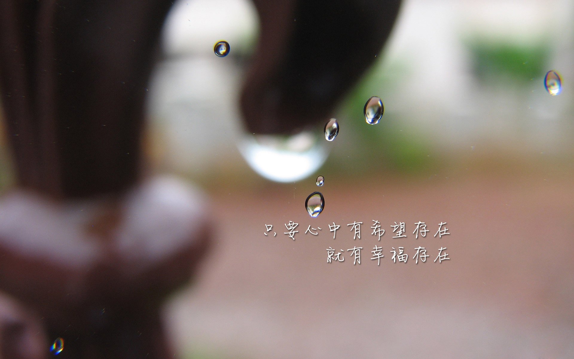 女足世界杯球队战术解析，女足世界杯球队战术解析视频