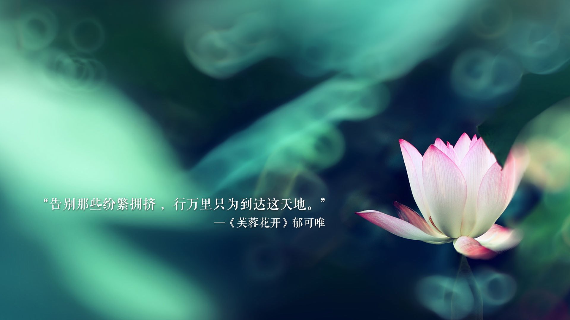 快船大胜步行者，全明星赛前哨战中乔治砍下47分，快船队乔治