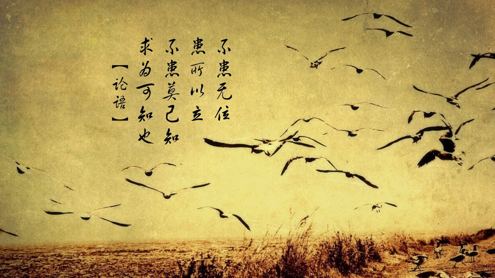 快船大胜步行者，全明星赛前哨战中乔治砍下47分，快船队乔治