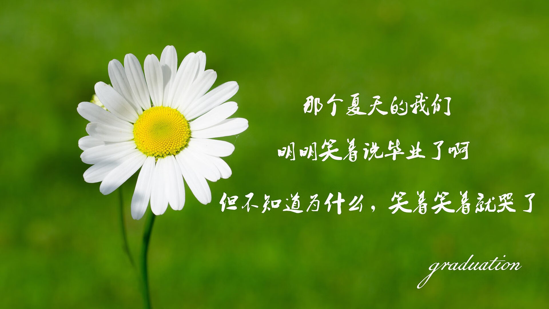 比利时马术协会与科技公司合作，开发虚拟现实训练平台，提升骑手技能。