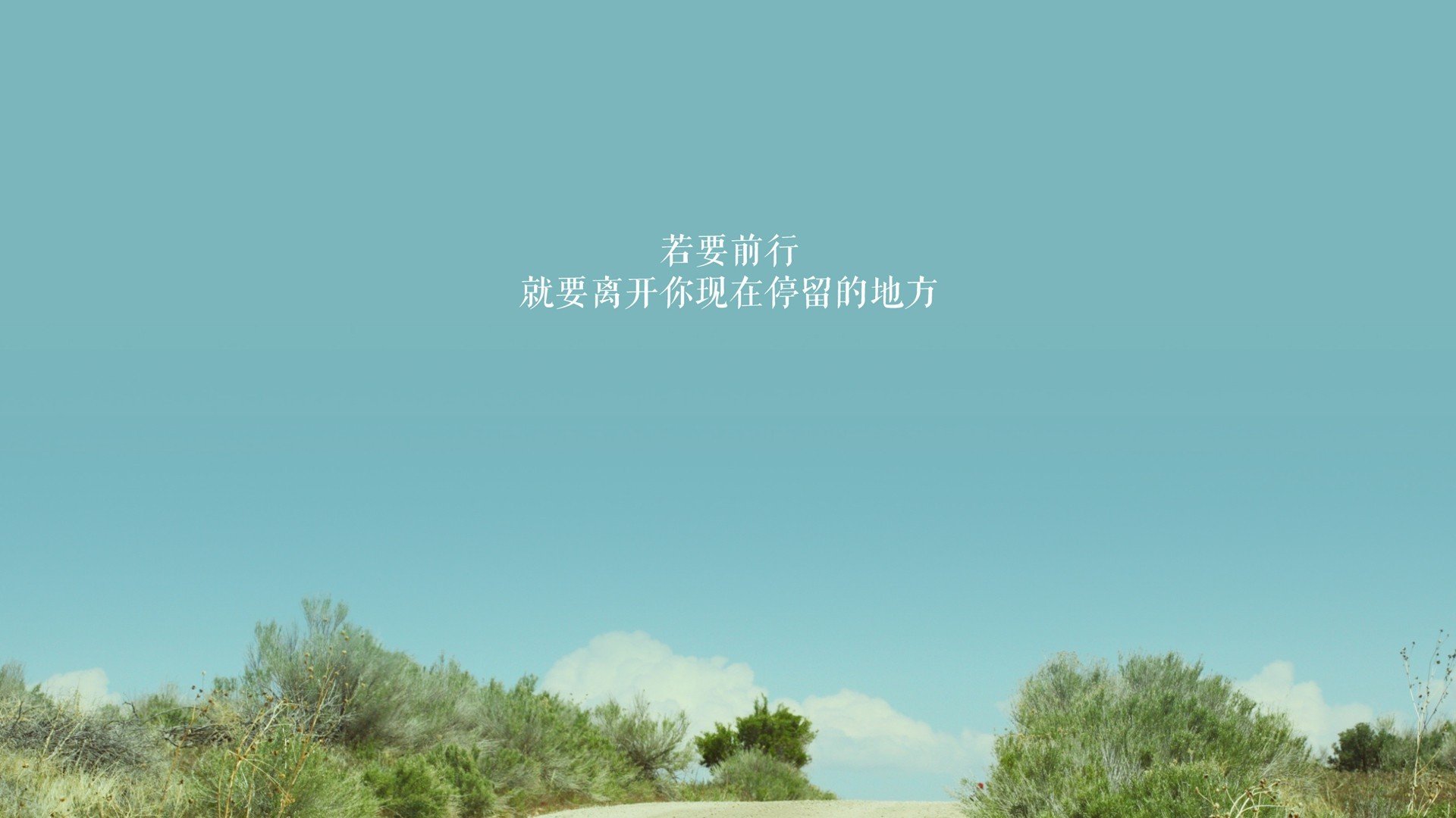 女子仰泳技术优势持续扩大，女子仰泳技术优势持续扩大的原因