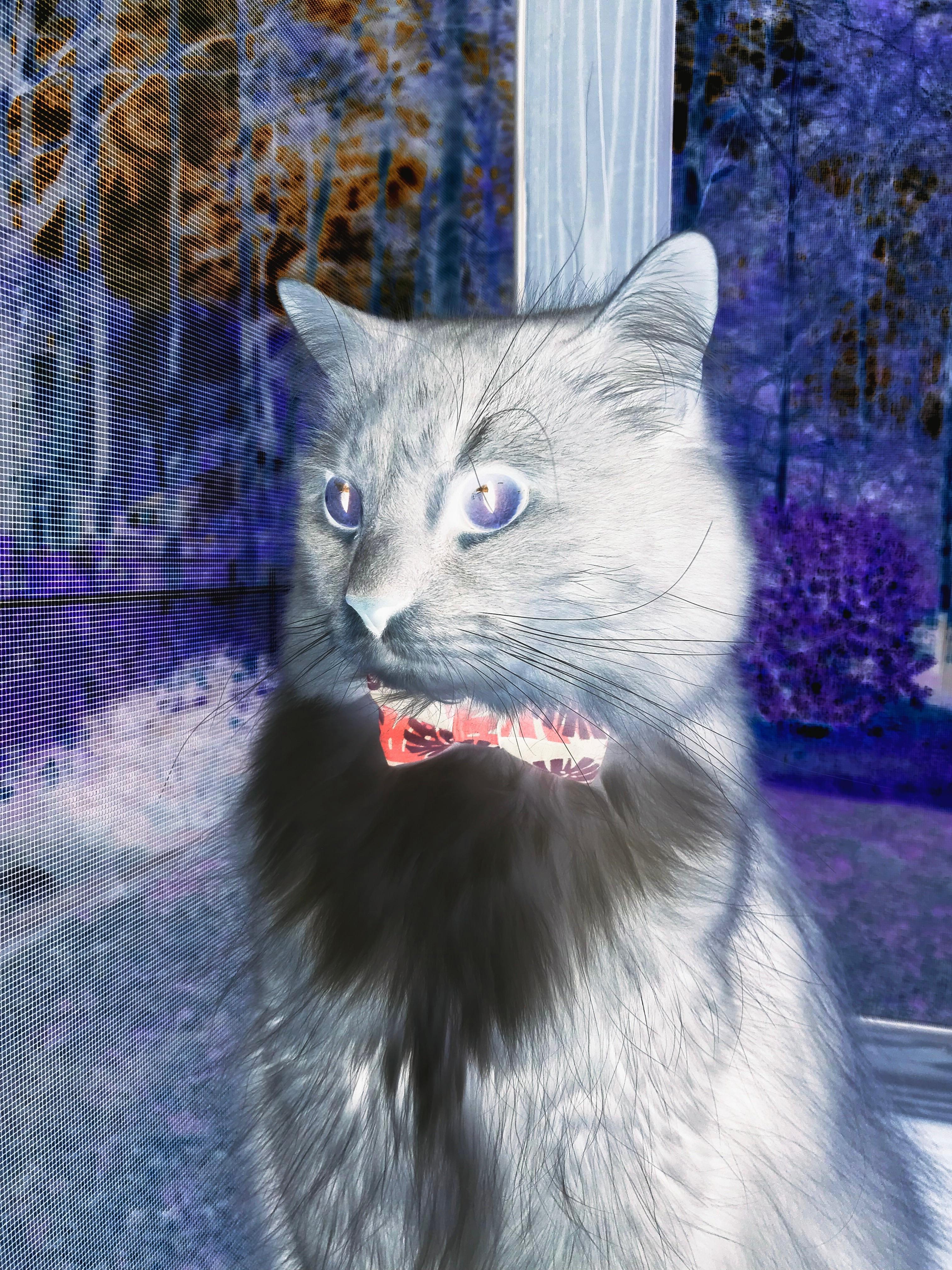 马赛强攻开局迅速确立领先优势，马赛分析