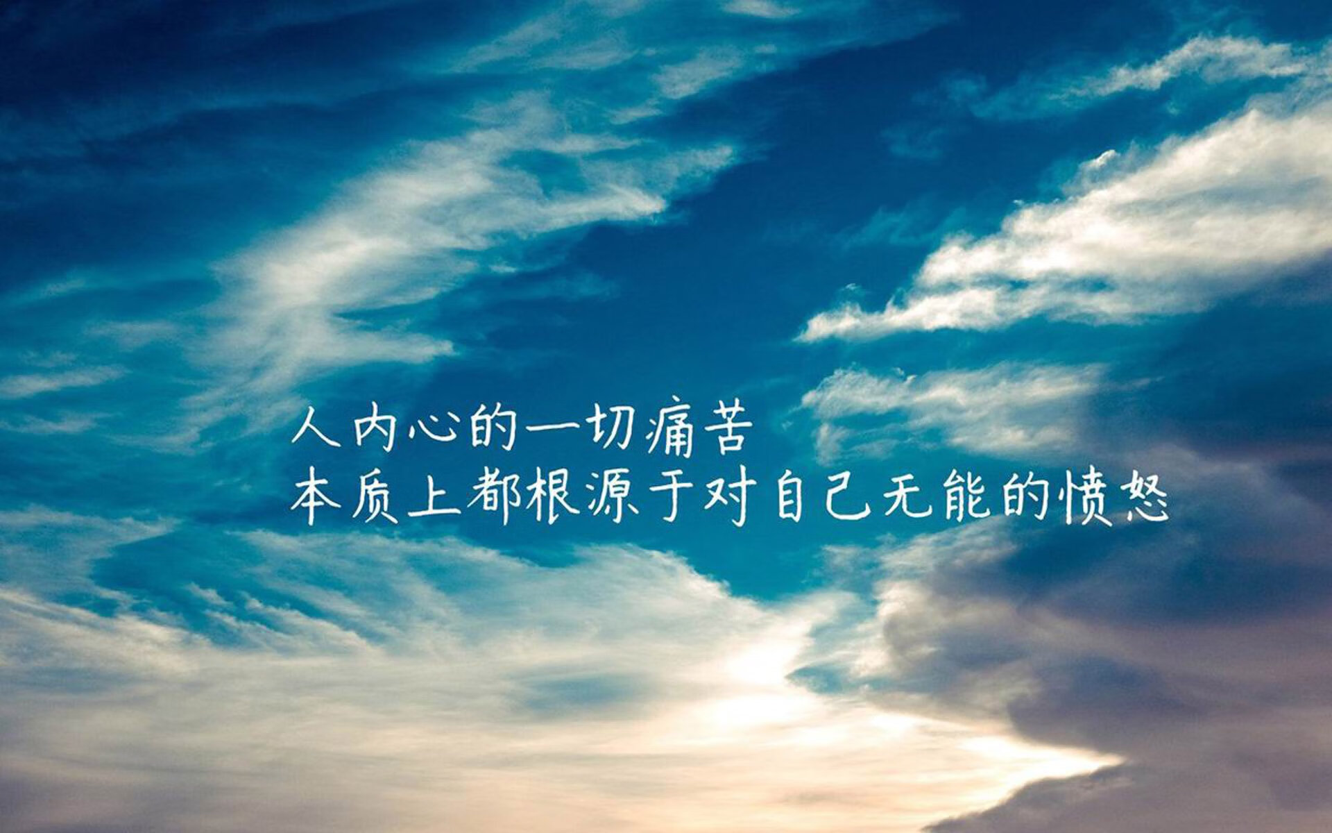 自由泳比利时选手挑战极限，自由泳比例